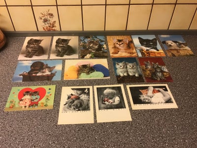 Postkort, Ældre Katte Postkort Billeder Pynt, Gaveide : Ældre Børne indretning Vægpynt Væg Pynt Bill