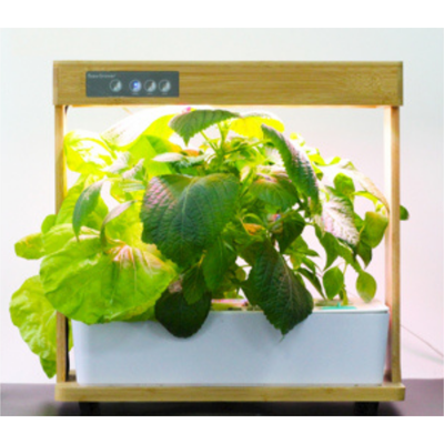Smart indendørs LED køkkenhave, SunFlux Smart Garden, SunFlux Smart Garden - Indendørs køkkenhave

S