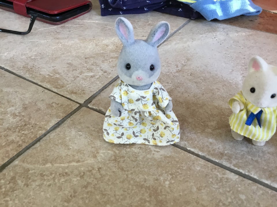 Sylvanian, Dukker