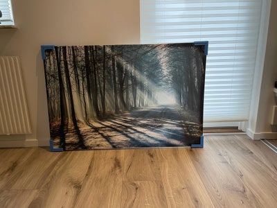 Plakat, motiv: Skov, b: 120 h: 80, Billede af skov
