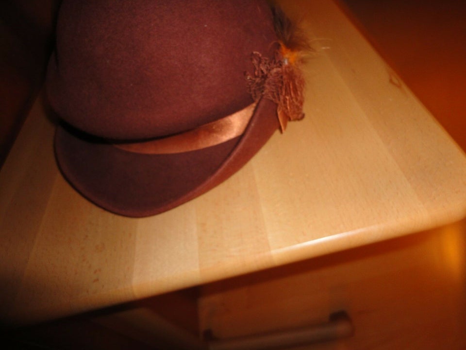 Hat, Brun filt, ukendt