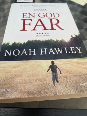 En god far, Noah hawley, genre: roman, Paperback