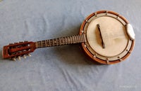 Akustisk banjo