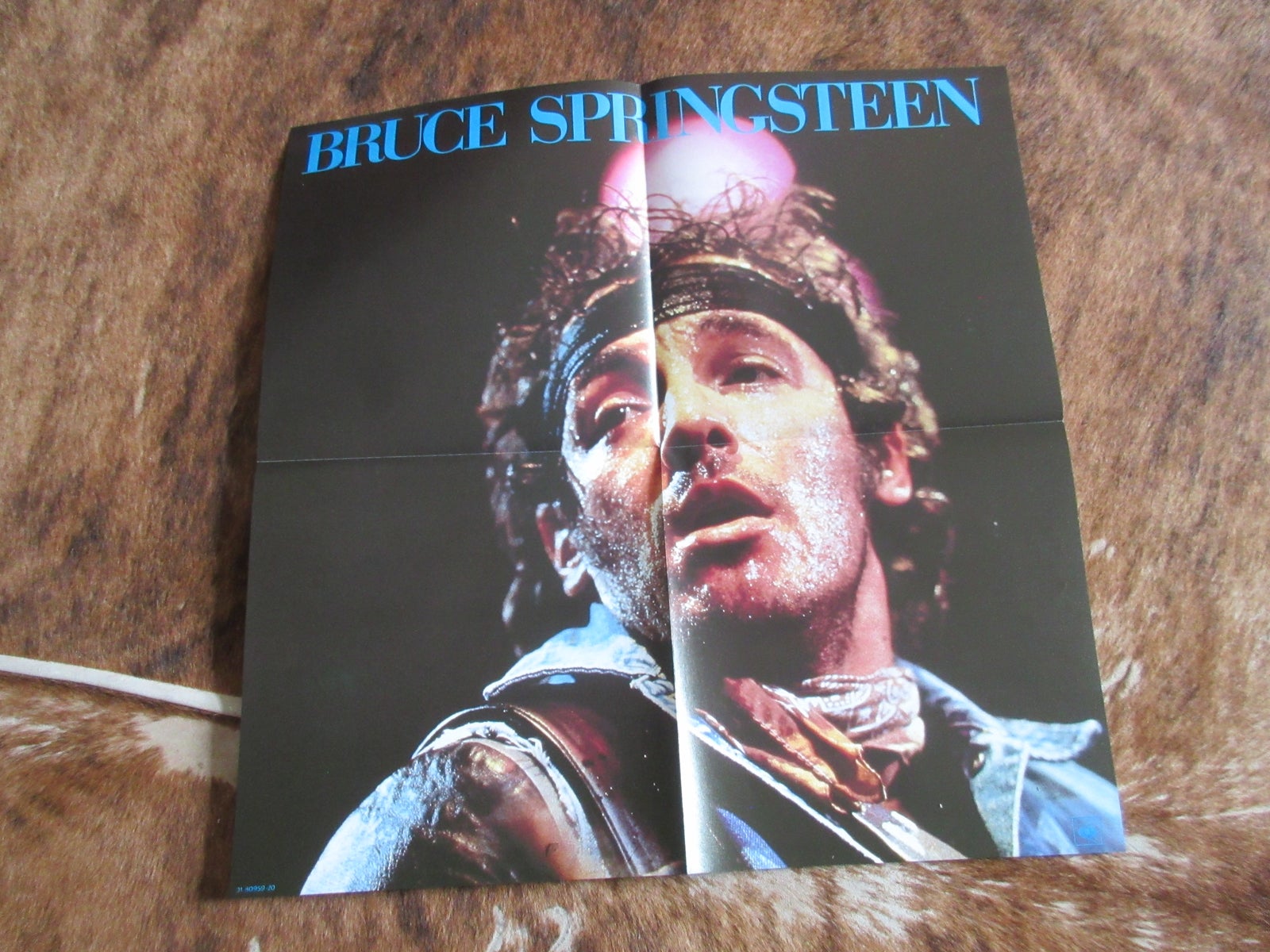 Bruce Springsteen Plakat fra 1976, b: 50 h: 50
