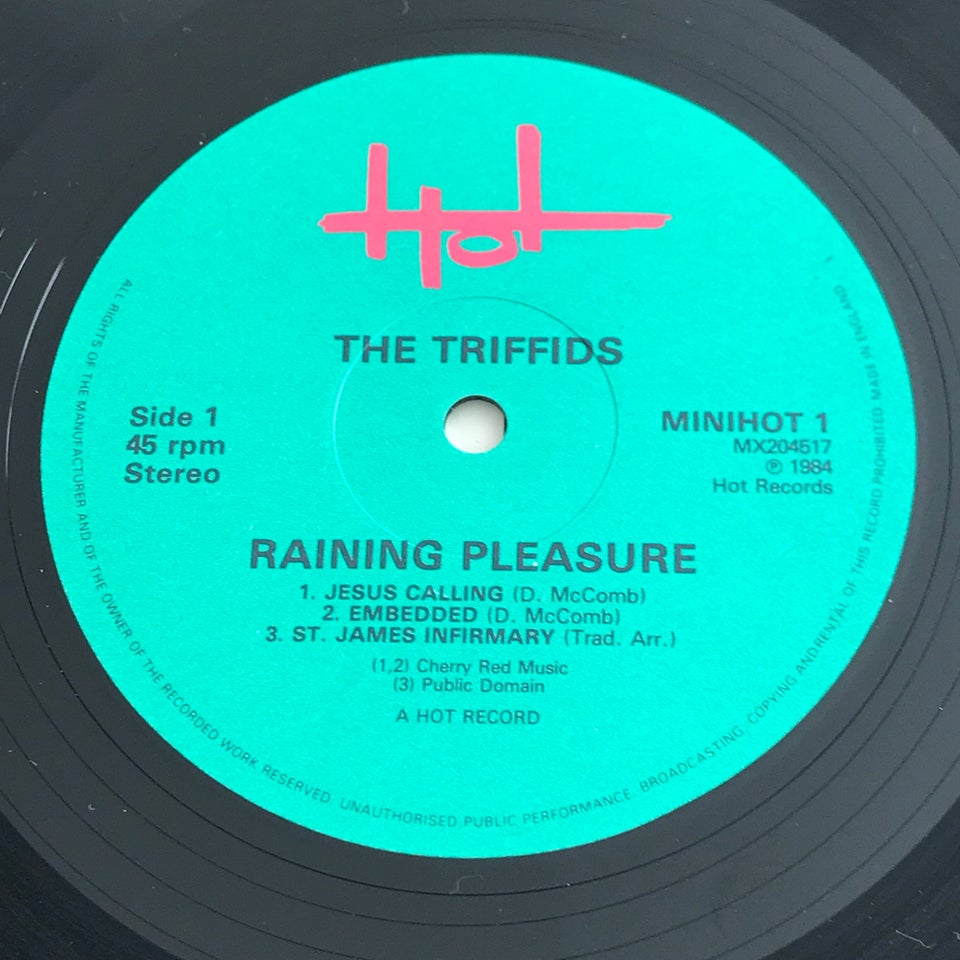 LP, The Triffids, Raining Pleasure
