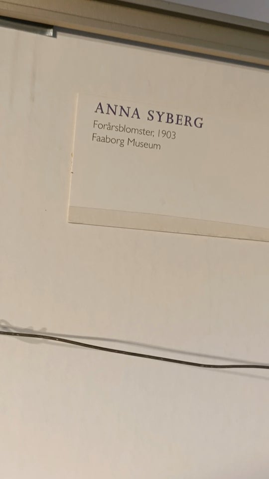 Plakattryk, Anna Syberg, motiv: Forårsblomster