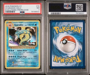 Wizards of The Coast - 2 Graded card - KANGASKHAN EX Full Art & Holo - UCG  10 - Catawiki