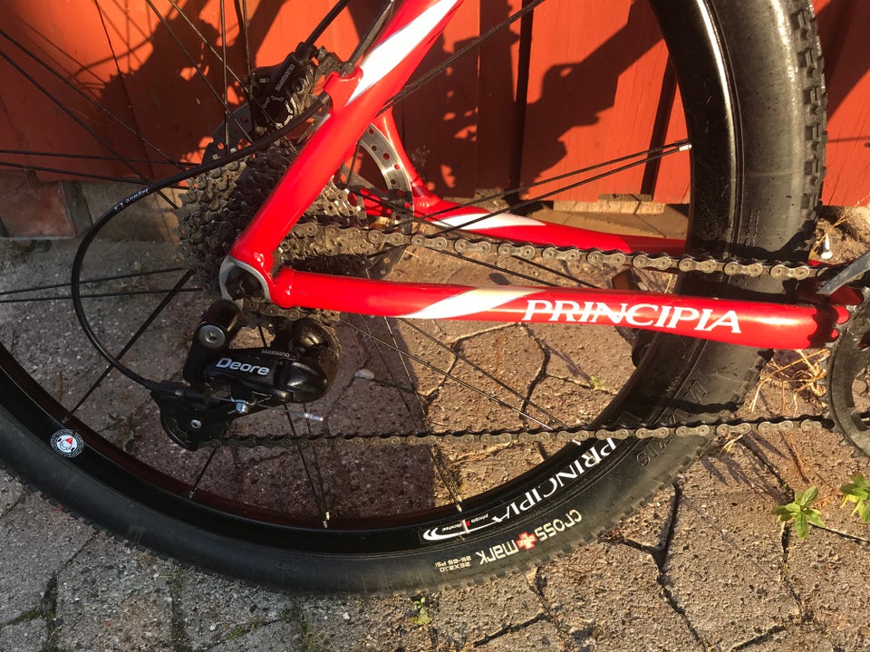 Mauntinbike. Principia 