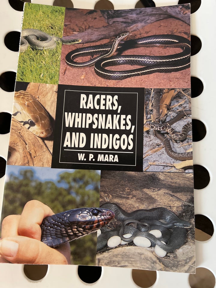 Racers, whipsnakes and indigos, W. P. Mara