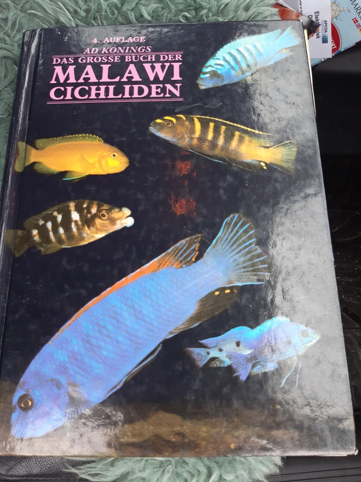 Malawi, 500 sider stk.