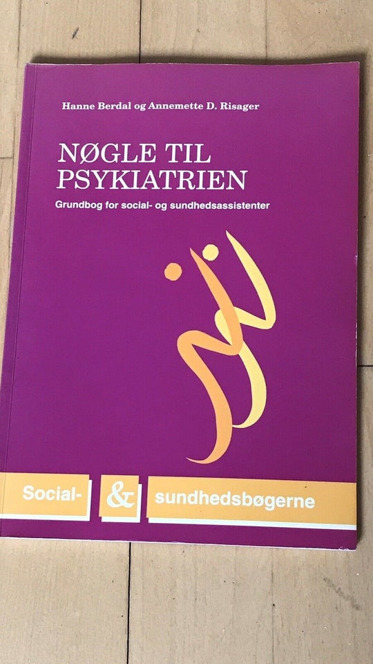 Nøgle til psykiatrien, Hanne Berdal, emne: sociologi