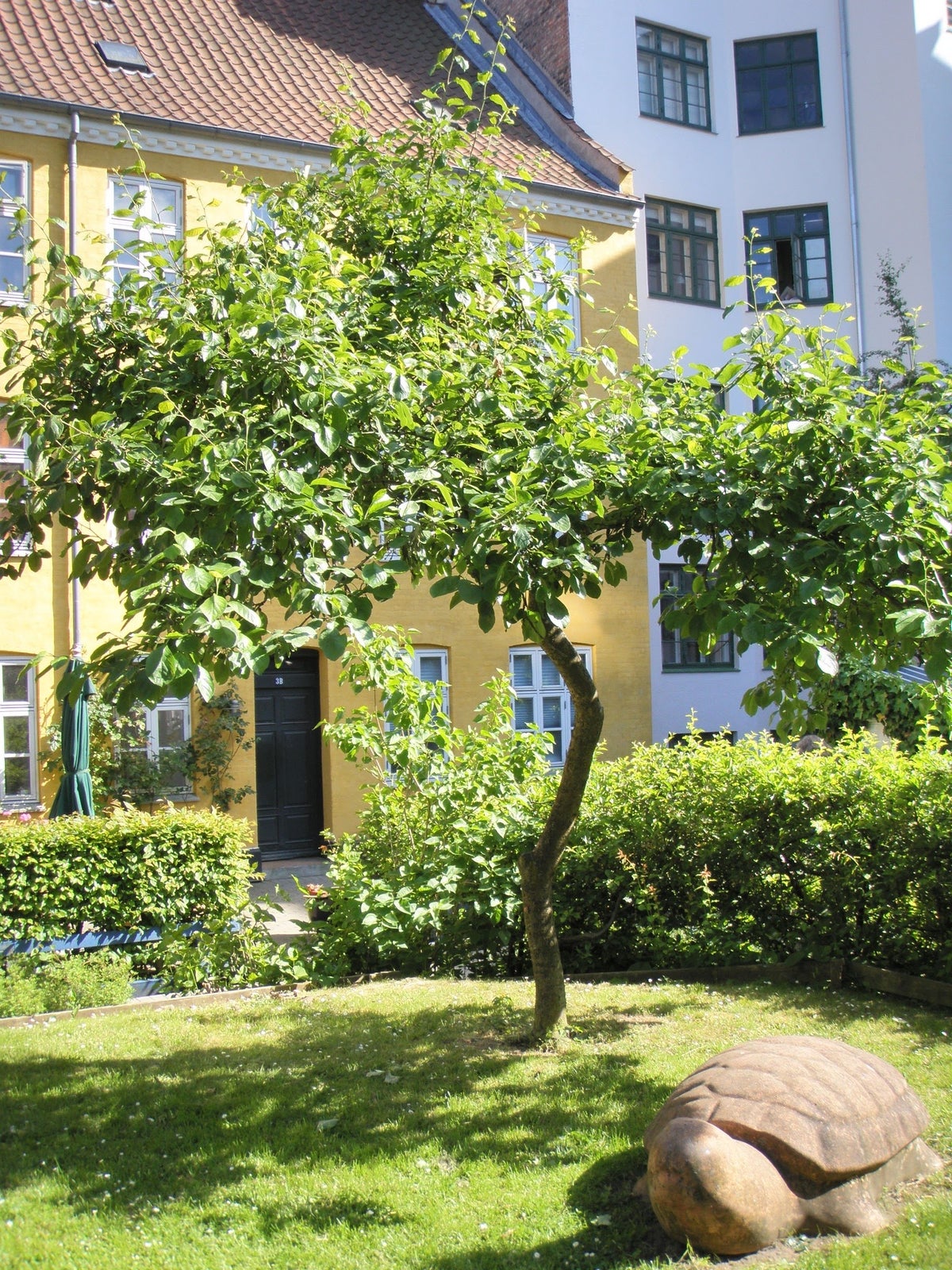 Christianshavn, lejlighed udlejes i juni og juli.