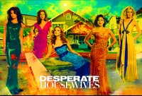DESPERATE HOUSEWIVES TV SERIE KOMPLET TERI HATCHER, DVD,