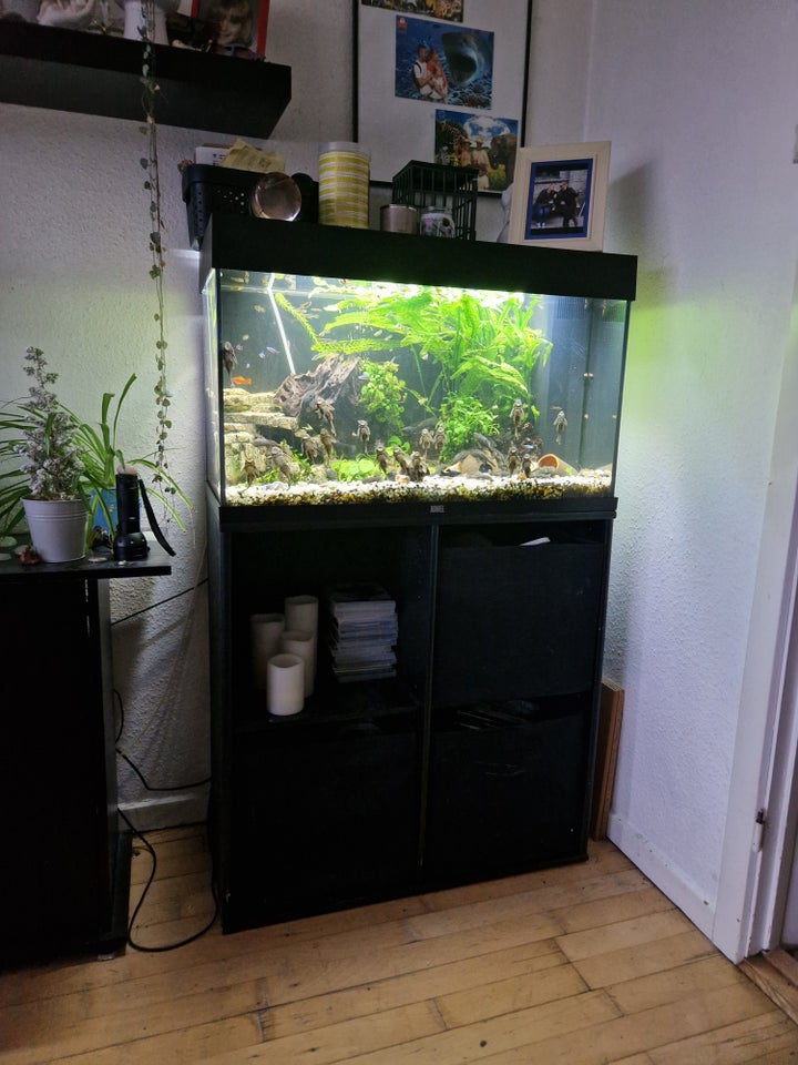 Akvarium, 125 liter