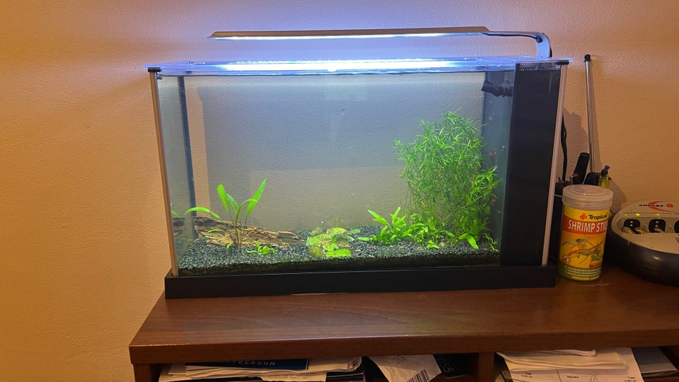 Akvarium, 19 liter, b: 52 d: 19 h: 30