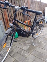 Cykel, IDAHO