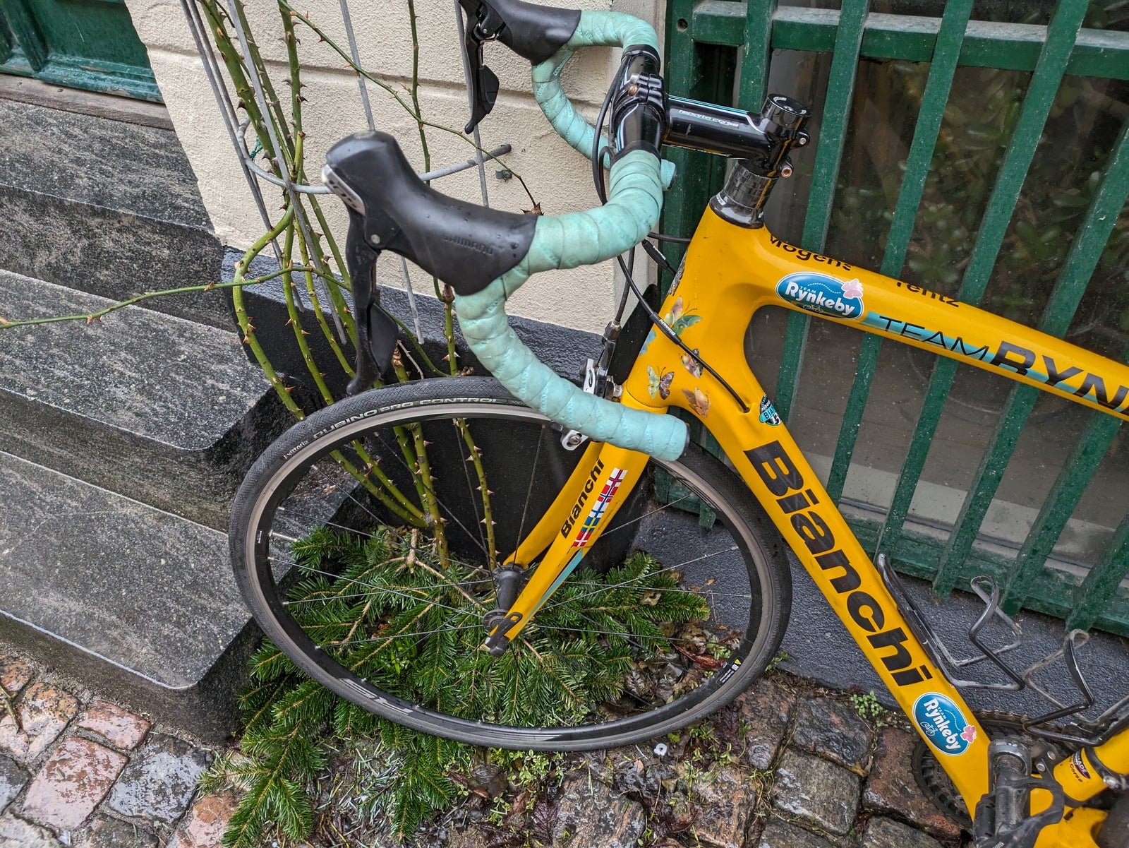 Lækker Rynkeby cykel med 22 gear
