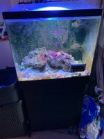 Akvarium, 130 liter