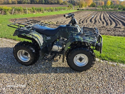 Ukendt  kineser, 250 ccm, Ældre kineser ATV 15 til 18 år HAR HØJST KØRT 5 KM. HAR FÅET NYT BATTERI. 