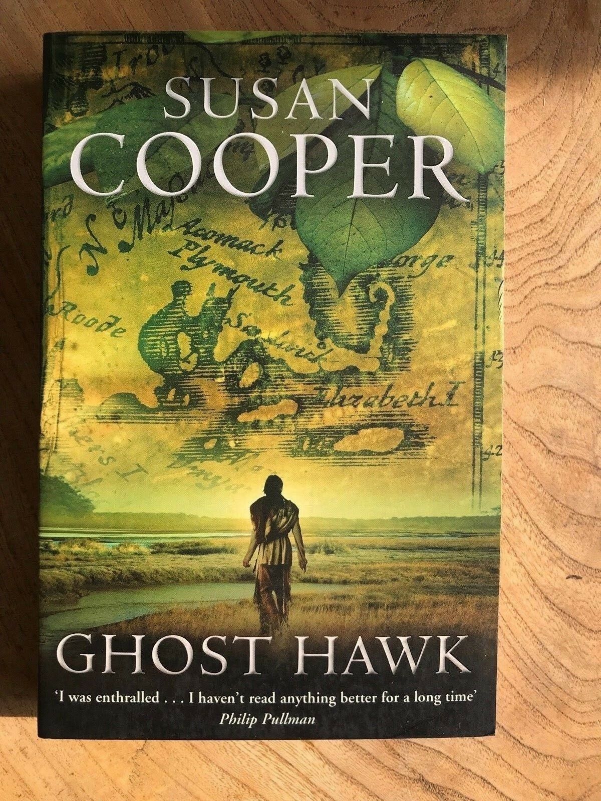 susan cooper ghost hawk