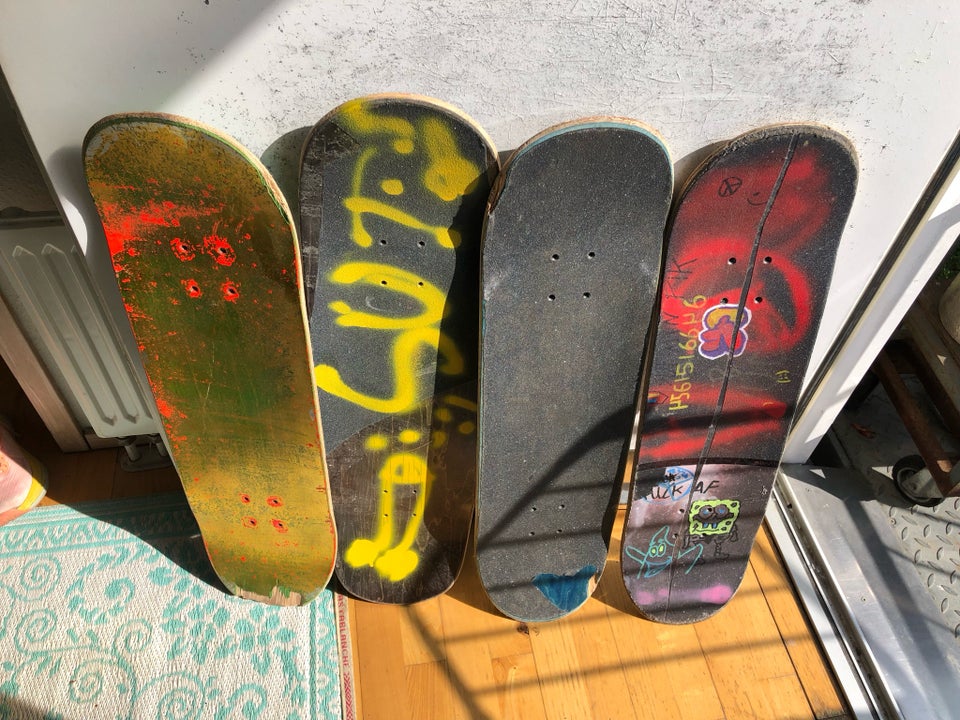 Skateboard, Diverse