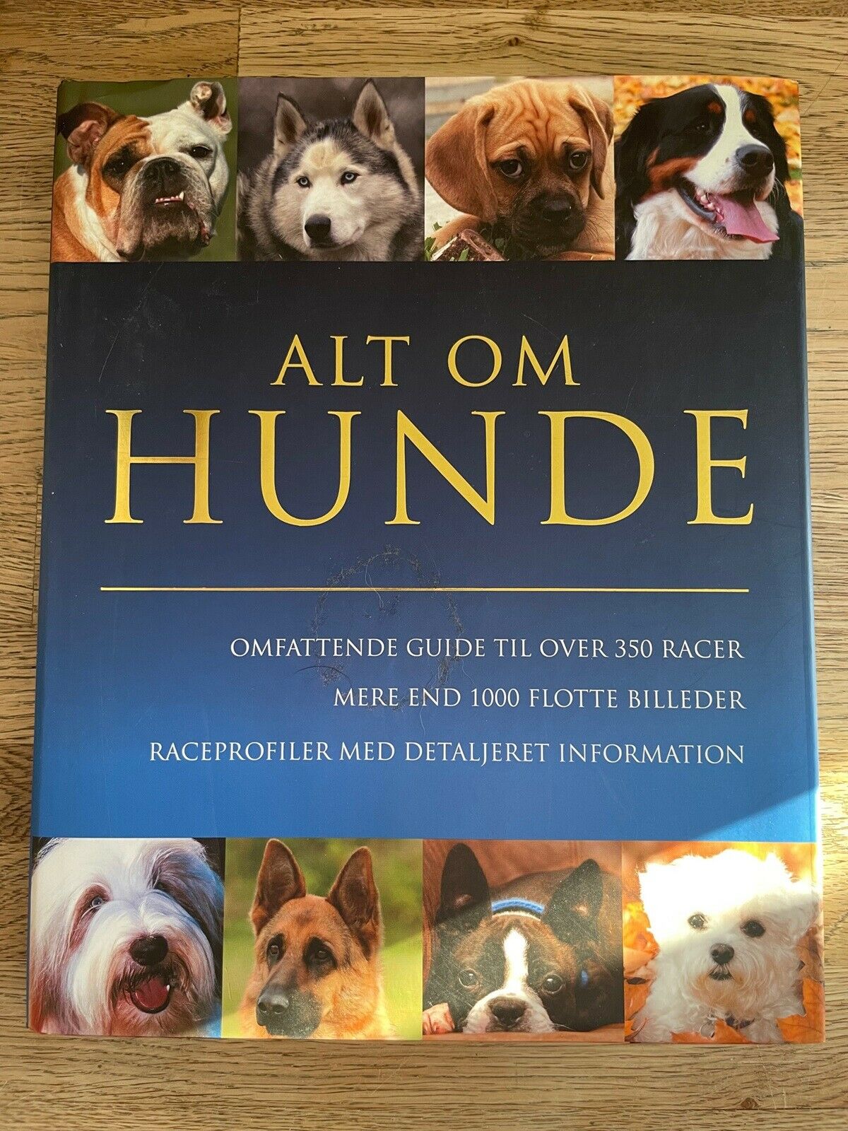 Alt om hunde, Alderton, emne: dyr – dba.dk – Køb og Salg af Nyt og Brugt
