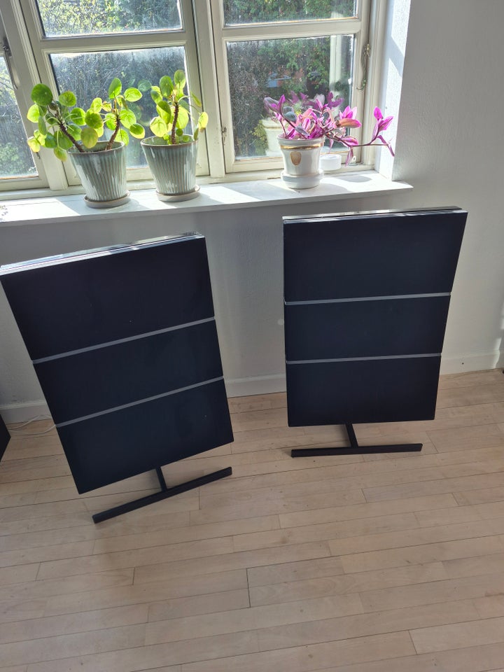 Højttaler, Bang & Olufsen, RL 7000