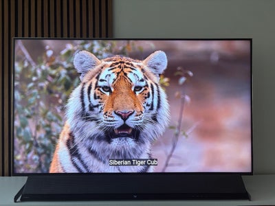 LED, Sony, XH9005, 55", Perfekt, Sælger dette fine Sony XH9005 55 tommer 4K tv, da jeg gerne vil hav