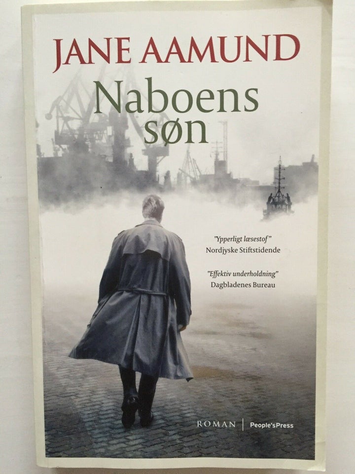 Naboens Søn, Jane Aamund, genre: roman