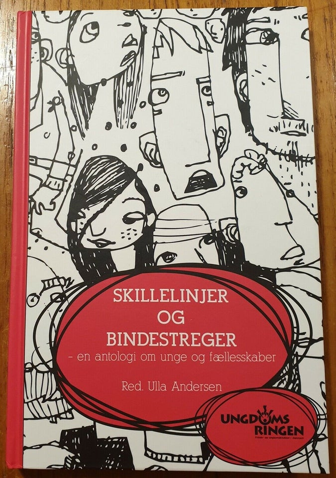 Skillelinjer og bindestreger, Ulla Andersen (red.), emne: