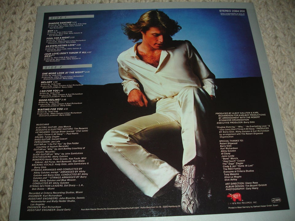 LP, Andy Gibb – Shadow Dancing, Pop