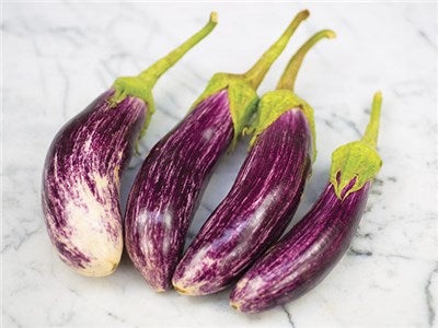 Aubergine planter, Grøntsager, Aubergine planter til salg

Græsk variant Tsakoniki, som giver lilla 