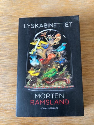 Lyskabinettet, Morten Ramsland, genre: anden kategori, Helt ny