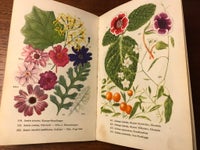 Stueplanter i farver, Eigil Kjær, emne: biologi og botanik