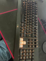 Tastatur, Razer, Razer blackwidow v3 tenkeyless
