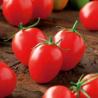 TOMAT PRINCIPE BORGHESE - 2967, Øko-frø Solanum lycopersicum, Populær gammel italiensk sort, der pro