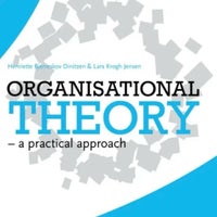 Organisational Theory, Henriette Bjerreskov