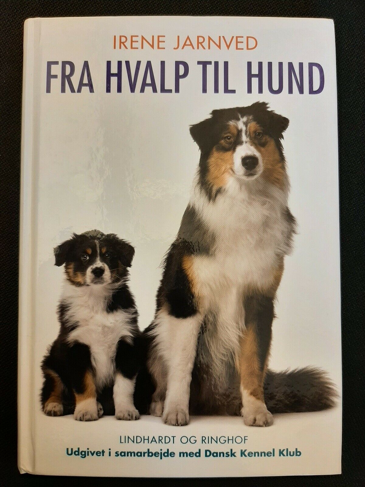 Hvalp til hund, Irene Jarnved, emne: – dba.dk – Køb og Salg af Nyt og Brugt