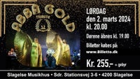 ABBA Gold Tribute, Koncert, Slagelse musikhus