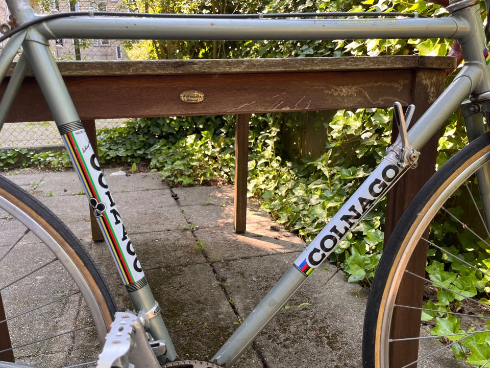 Colnago 54 cheap