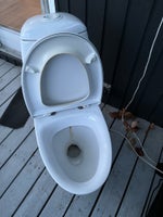 Toilet, IFO