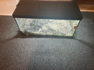 Lampe LED aquarium - 129 LED - 25 W - 87cm