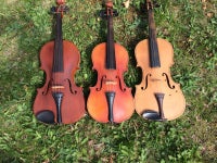 Violiner