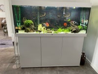 Akvarium, 450 liter