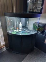 Akvarium, 190 liter, b: 95 d: 70 h: 60