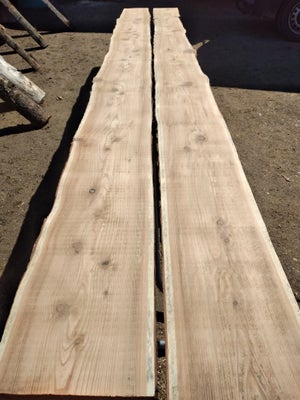 Planker, Lærk, 2 stk. Sælges samlet.
Savskåret med barkkant. Har tørret I ca. 1,5 år.

Længde 4,2 me