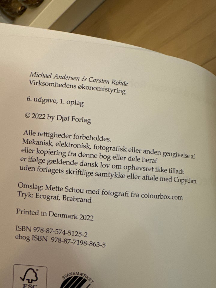 Virksomhedens Økonomistyring, Michael Andersen, Carsten