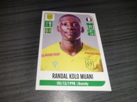 Samlekort, Randal Kolo muani Rookie Sticker fc Nantes
