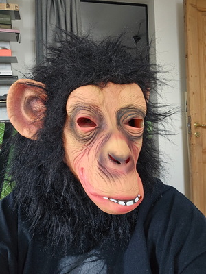 Abe chimpanse maske, Brugt 1 gang til Halloween. 
Udklædning, kostume, fastelavn.
Sender, du betaler