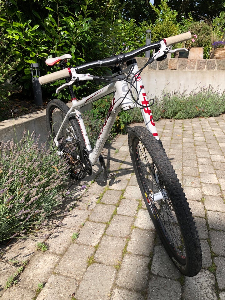 Cannondale 2024 26 lefty